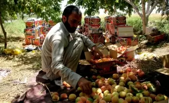 Taliban forcing Afghan farmers in distress to pay 'zakat' tax